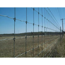 Hot Sale Fixed Knot Woven Wire Fence
